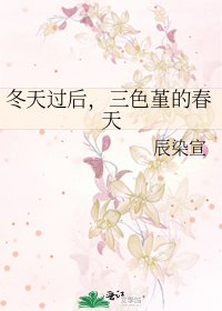 冬天过后,三色堇的春天
