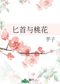 匕首与桃花