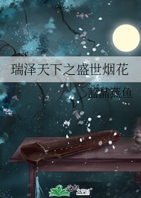 瑞泽天下之盛世烟花
