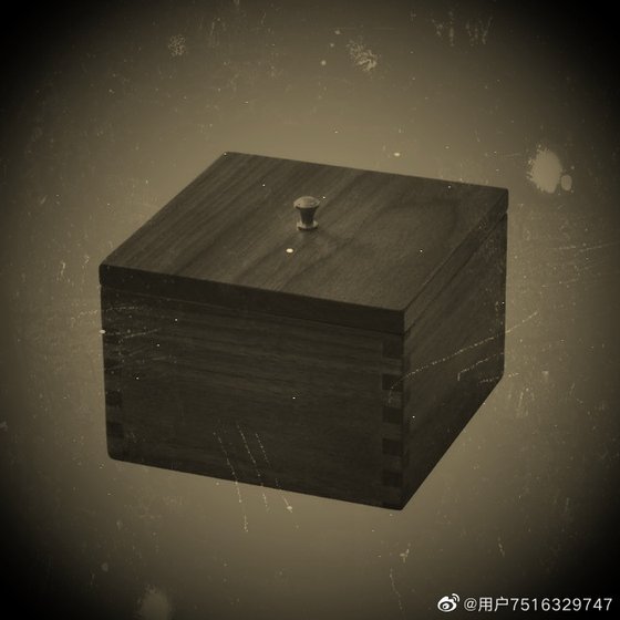 阁楼之上的病娇男孩