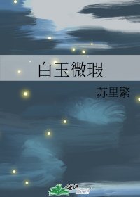 白玉微瑕