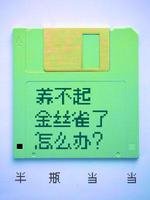 養不起金絲雀了怎麼辦?