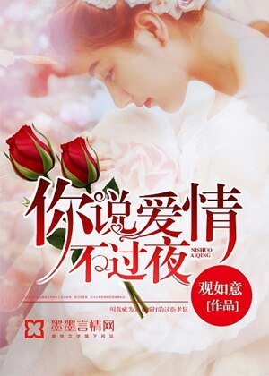 你説愛情不過夜